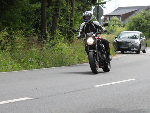 Header Frühjahrscheck