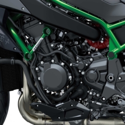 Kawasaki Z H2 Rahmen