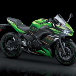 Kawasaki Ninja 650 Grün Schwarz